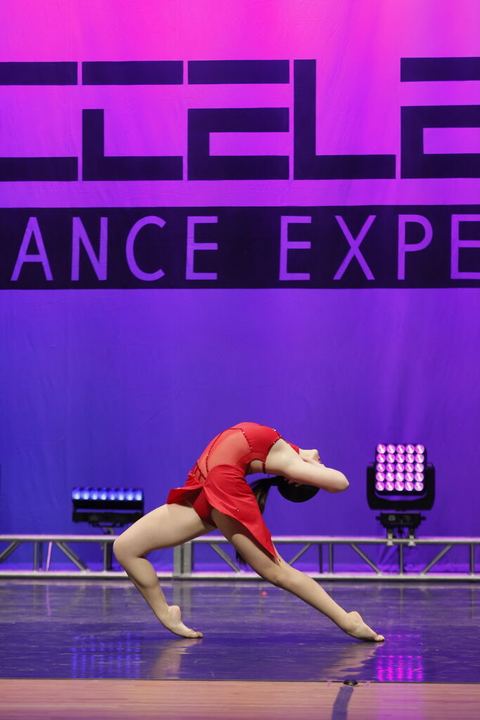 Synergy Company and Team at competition